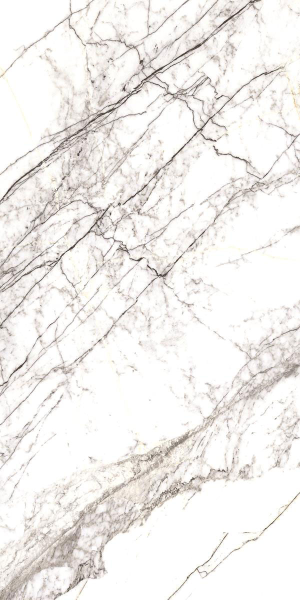 COSICO WHITE F1